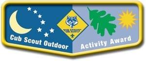 Image result for cub scout awards