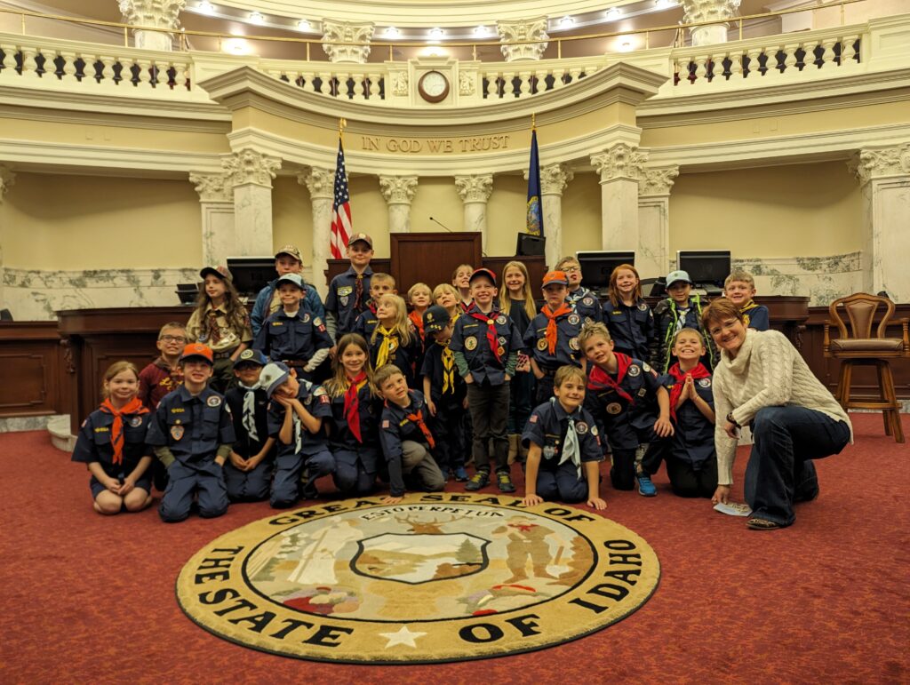 Scouts in Senate Chamber